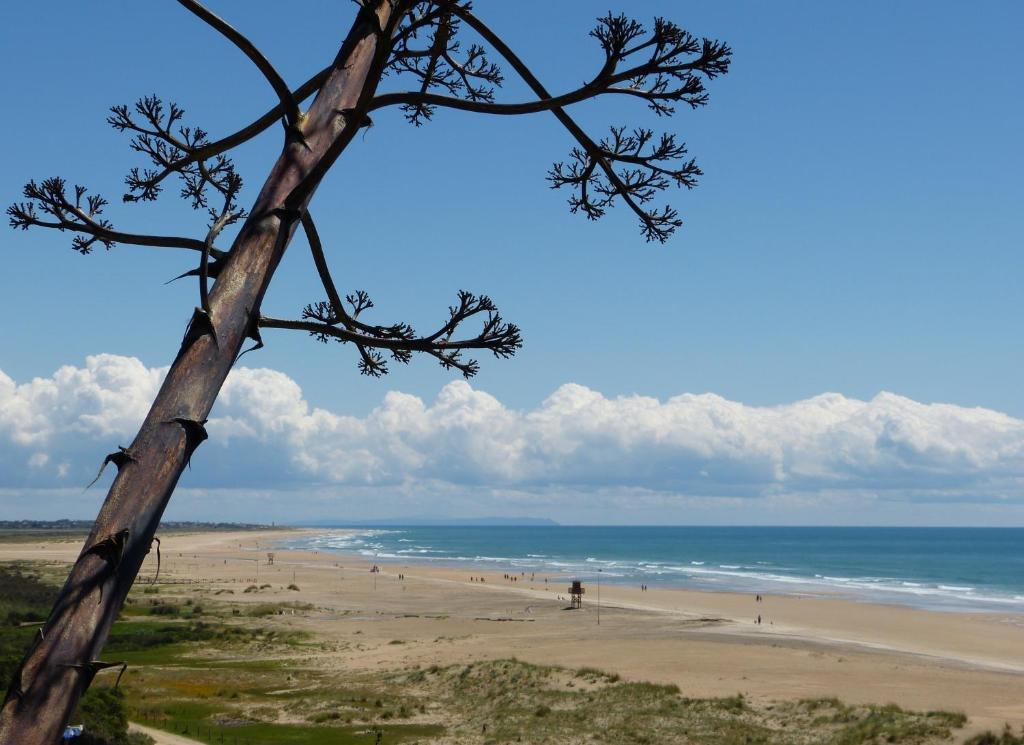 Apartamentos El Arrecife Conil De La Frontera Exteriér fotografie